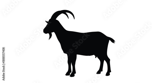 A striking black goat stands in profile a bold silhouette