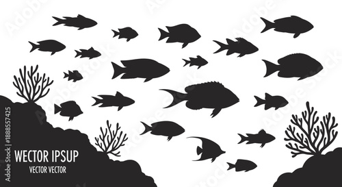 Black and white vector illustration of a school of fish swimming near coral reefs forming silhouette