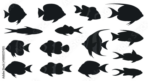 Collection of diverse fish silhouettes on a white background showcasing various species and shapes