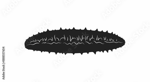Stylized sea cucumber illustration with contrasting black and white design isolated on a white