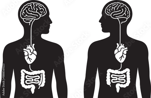 Head Chest And Gut Brain Connection Silhouettes Illustrating Human Mind Body Balance