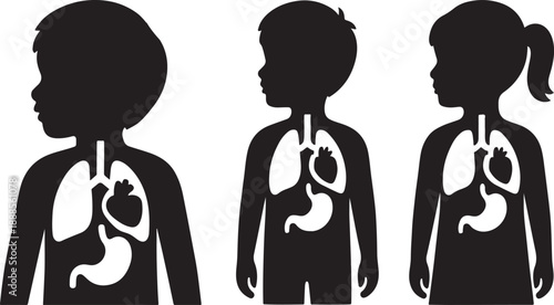 Kids silhouette showing lungs, heart, and stomach. Boy and girl silhouettes side by side with organ system