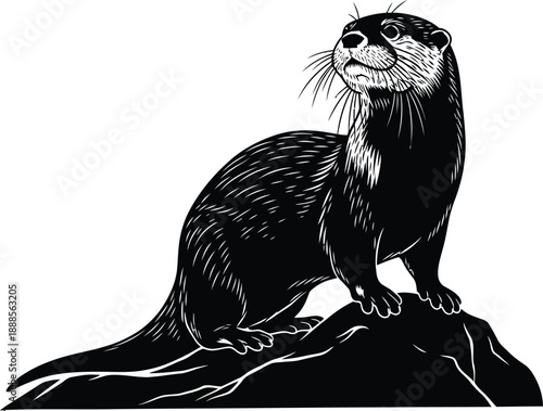 Otter standing on a rock looking up