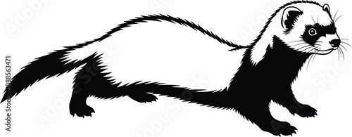 Ferret in motion black and white illustration
