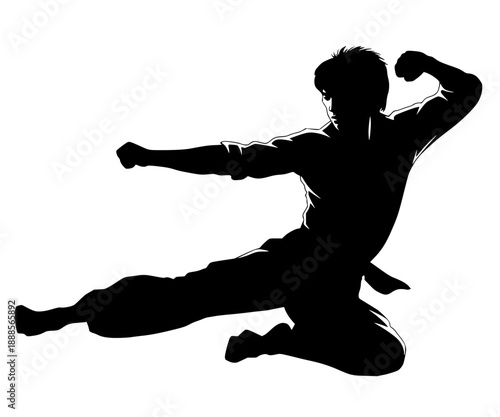 A dynamic high-contrast silhouette of a martial artist in a powerful mid-air flying kick pose. The sharp, clean lines capture intense action and athletic discipline.