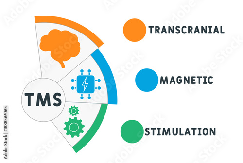 TMS - transcranial magnetic stimulation
acronym. business concept background. vector illustration concept with keywords and icons. lettering illustration with icons for web banner, flyer, landing