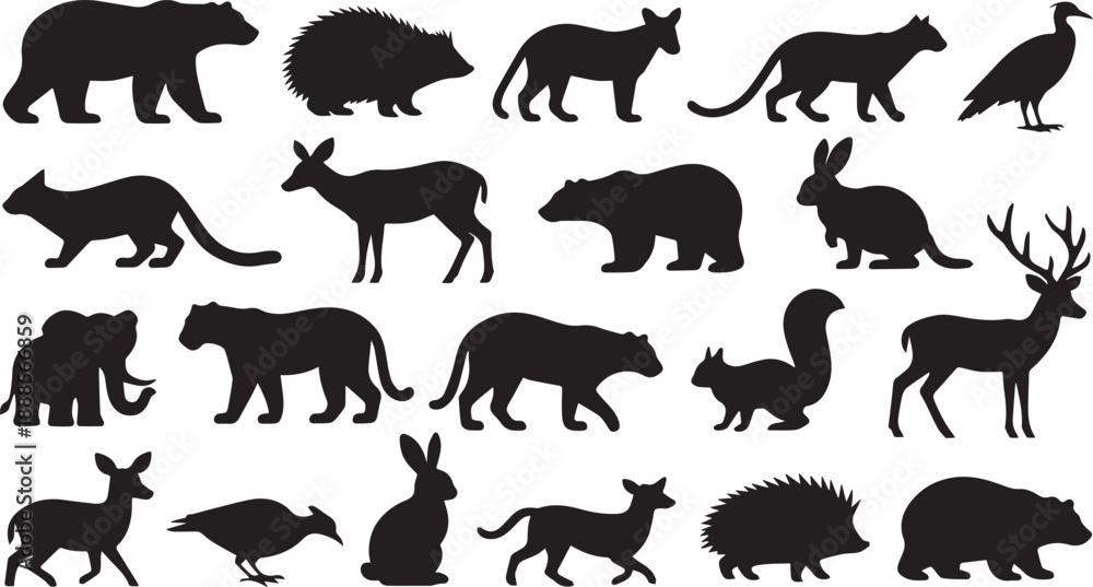 Fototapeta premium wild animals silhouettes