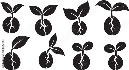 Black and white illustration of growing plants and roots