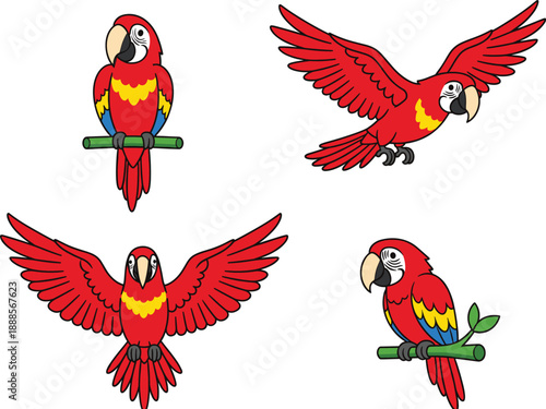 Colorful cartoon parrot set with flying and sitting macaw birds in bright tropical flat vector style