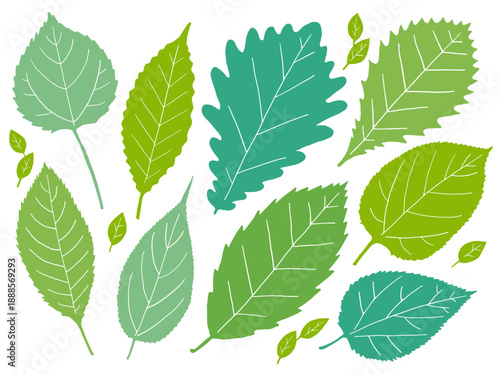 ぎざぎざはっぱのイラストセット