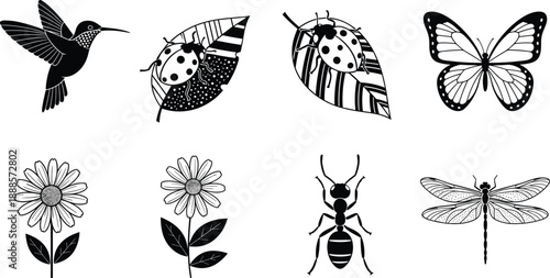 Set of black and white vector icons featuring bird insect butterfly flowers and garden wildlife silhouettes hand drawn nature illustration collection for designers