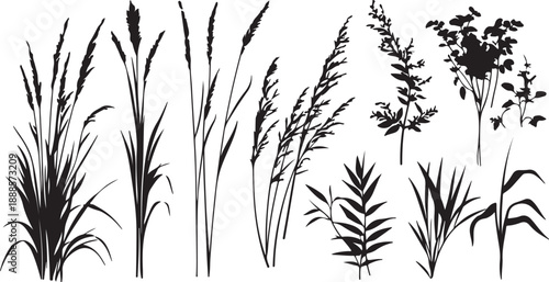 Minimalist nature illustration featuring black grass and wheat field silhouettes with bamboo and floral design elements isolated on a white background for spring decoration