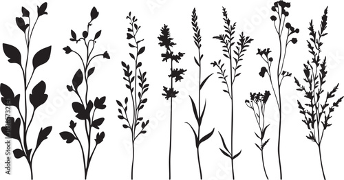 Would you like me to generate a different variation using more specific plant types like bamboo?