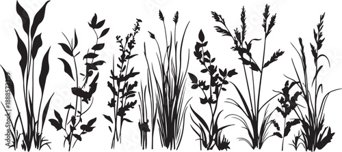 A black grass silhouette vector illustration featuring a nature-inspired floral design with bamboo leaves and spring flower patterns isolated on a white summer background for art decoration