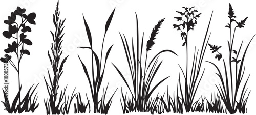 Isolated grass silhouette vector illustration shows natural green growth in a rural summer meadow field where wheat and cereal crops grow for a sustainable agriculture harvest