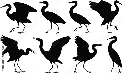 Collection of elegant black heron and crane silhouettes depicting various postures on a pure white backdrop