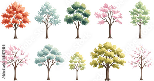 Set of ten diverse colorful seasonal trees including autumn orange spring pink sakura and green summer foliage isolated on white background for nature landscape design