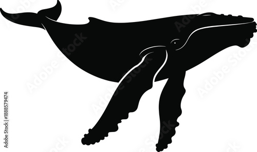 Whale silhouette illustration, majestic humpback marine animal swimming underwater, ocean wildlife vector design, black shape, isolated on white background