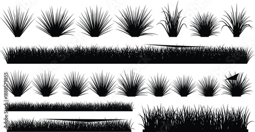 Set of diverse grass and bush silhouettes, including spiky tufts and flowing blades, perfect for landscape design.