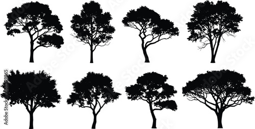 Eight distinct tree silhouettes with varied branch structures and canopy shapes, ideal for natural scene creation.
