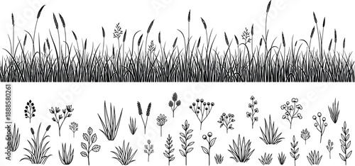 Collection of black silhouette illustrations of various wild grasses and plants, isolated on a white background, vector art.