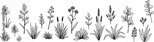 Set of hand-drawn black and white line art illustrations of various delicate wildflowers and grasses, isolated on white.