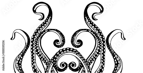 Intricate black octopus tentacles with suckers and swirling tips