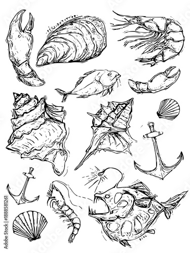Vintage nautical illustrations of seafood and anchors for coastal designs