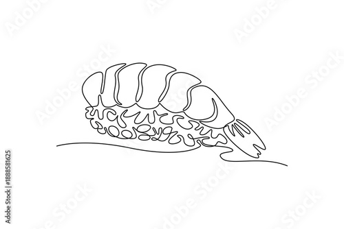 Shrimp Nigiri. Sushi concept. Single line draw design. Full length animation illustration. High quality 4k footage