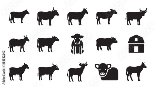 Cow icons set in simple flat design with black color on white background for agricultural infographics