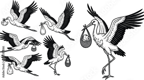 Vintage stork delivering baby illustration set in black and white engraving style, flying bird carrying newborn bundle, classic folklore maternity symbol isolated on white background