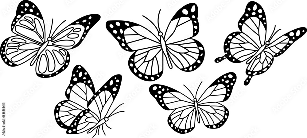 Fototapeta premium Butterfly Line Art Illustration Set for Coloring Pages and Nature Design