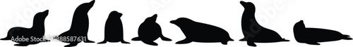 Seven black sea lion silhouettes are gracefully standing and resting on a clean white background