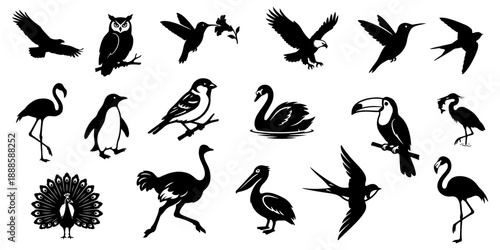 Mega collection of wild birds black silhouettes set including eagle, penguin, owl, flamingo, peacock, swan, toucan, and ostrich isolated on transparent