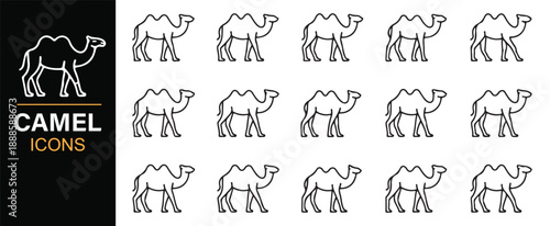 Nomadic camel line icons collection