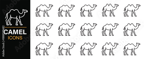 Camel silhouette outline symbols for safari design