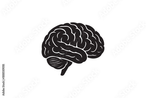 Human brain side view silhouette anatomical illustration isolated on white background for health art