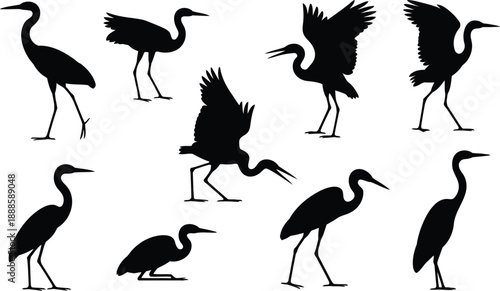 Striking black heron bird silhouettes standing and moving gracefully on a clean white background