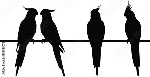 Black silhouette parrots and cockatoo birds perched on branch, tropical wildlife animal vector illustration isolated on white background design collection art graphic