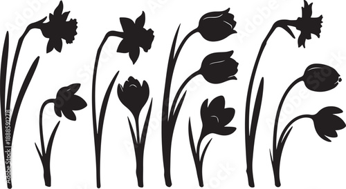 Black Silhouettes of Various Flowers on White Background Illustration