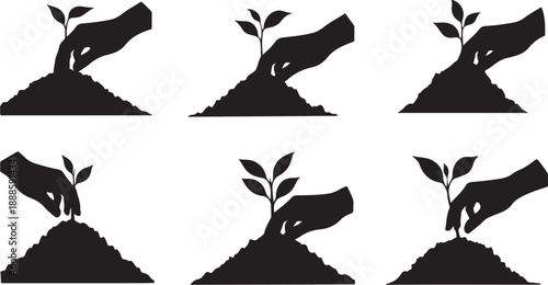Hands Planting Seeds and Growing Small Plants in Soil