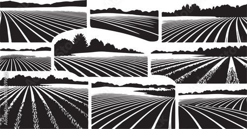 Collage of black and white agricultural field landscapes