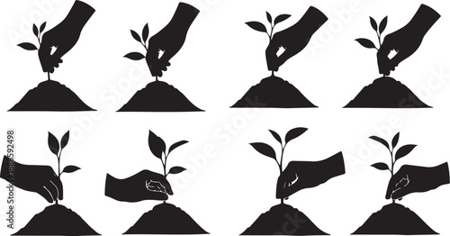 Hands Planting and Nurturing Young Growing Plants in Soil