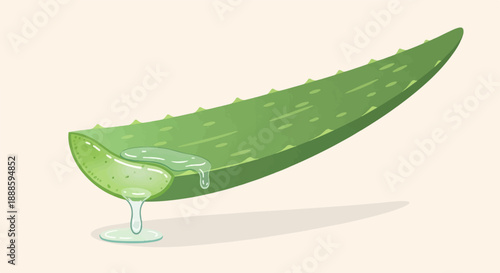 A sliced aloe vera leaf with clear gel dripping onto a light-colored surface