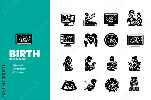 Birth Solid Icon Set Depicting Pregnancy Ultrasound Fetal Development and Maternity Care