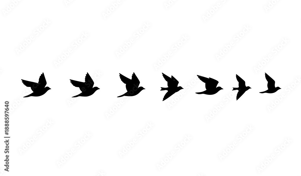 Obraz premium Bird flight motion silhouettes vector sequence with minimalist flying bird icons