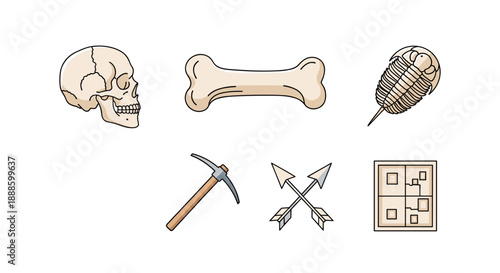 A collection of illustrated icons featuring a human skull, bone, fossil, pickaxe, crossed arrows, and a map, perfect for archaeology, history, or exploration themed designs.