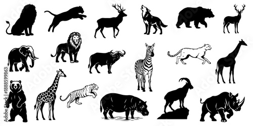 Mega set of wild animal silhouettes including lion, elephant, giraffe, zebra, tiger, bear, wolf and rhino isolated on transparent