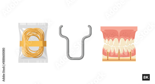 A vector illustration presents dental floss, a rubber dam clamp, and a detailed model of teeth, suitable for educational or medical presentations and patient education.