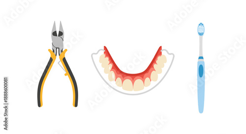 An illustration showcases dental care tools including pliers, a denture, and a toothbrush, representing oral hygiene and professional dental maintenance in a clean, isolated setting.